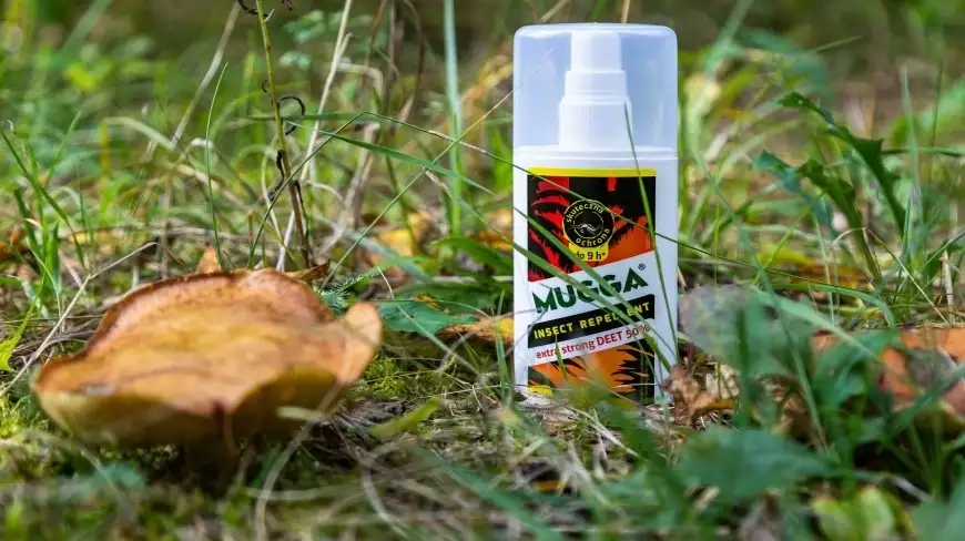 Borelioza może być groźna na Mazurach. Uważajcie na kleszcze!