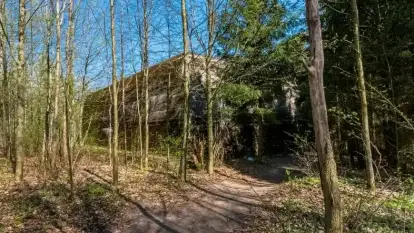 Zaskakujące znalezisko w Mamerkach na Mazurach. Tego się tu nie spodziewano