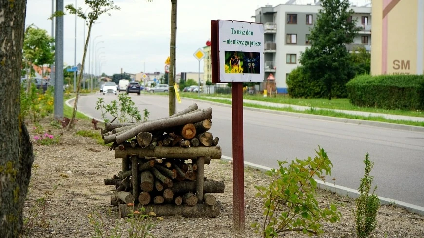 Pisz na Mazurach zadbał o owady. W mieście pojawiły się specjalne domki