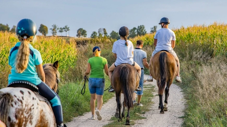 Mazury w siodle – idealne miejsce na jazdę konną i naukę