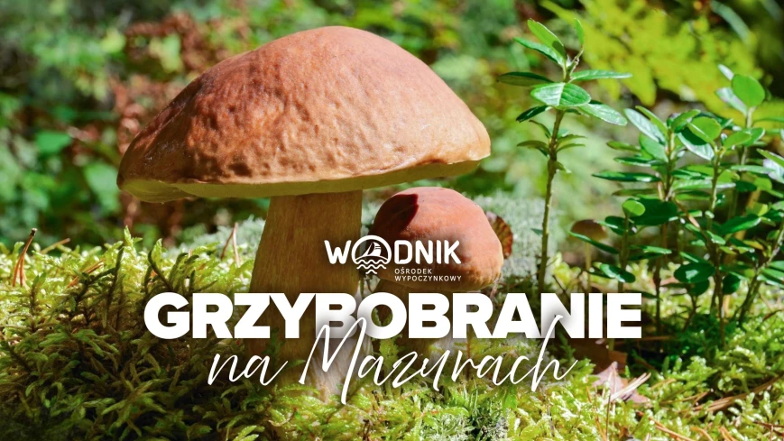 Jesienne grzybobranie w Wodniku – Mazury pełne smaku i zapachu lasu