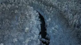 Zimowa przyroda bez tajemnic. Seniorzy wyruszą na poszukiwanie leśnych tropów w Krutyni