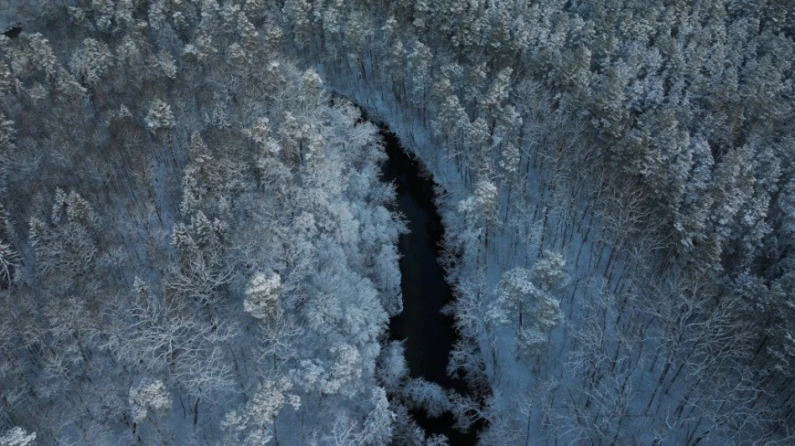 Zimowa przyroda bez tajemnic. Seniorzy wyruszą na poszukiwanie leśnych tropów w Krutyni