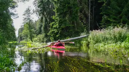 Spływy Kajakowe Wodniak - zdjęcie 19