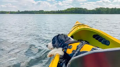 Spływy kajakowe Sapiną - Kruklanki  - zdjęcie 11