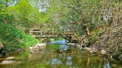 Spływy kajakowe Sapiną - Kruklanki  - zdjęcie 12