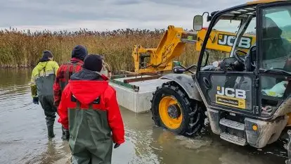 Pomosty Pływające - Majster Warmiński - zdjęcie 13