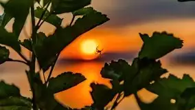 Zachód nad jeziorem Kisajno, sierpień 2021 r. - zdjęcie 11