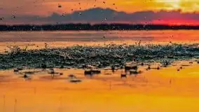 Zachód nad jeziorem Kisajno, sierpień 2021 r. - zdjęcie 25