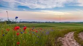 Zachód słońca w okolicach wsi Ublik - zdjęcie 22