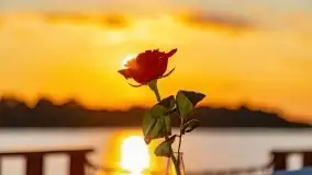 Zachód słońca podczas romantycznej kolacji na Chopinie - zdjęcie 28