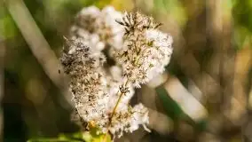 Zachód słońca nad jeziorem Kruklin, piękne te wrześniowe Mazury - zdjęcie 21