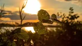 Zachód słońca nad jeziorem Kruklin, piękne te wrześniowe Mazury - zdjęcie 30