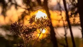 Zachód słońca nad jeziorem Kruklin, piękne te wrześniowe Mazury - zdjęcie 6