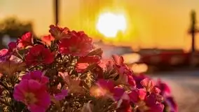 Wrześniowy wschód słońca w Wilkasach - porty AZS i PTTK Wilkasy - zdjęcie 7