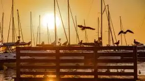 Wrześniowy wschód słońca w Wilkasach - porty AZS i PTTK Wilkasy - zdjęcie 14