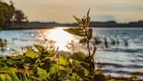 Wrześniowe jezioro Ublik o zachodzie słońca - zdjęcie 4