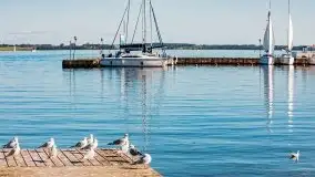 Suszenie żagli nad jeziorem Niegocin, Wilkasy - zdjęcie 18