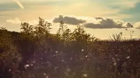 Zachód słońca nad jeziorem Dobskim, wrzesień 2021 r. - zdjęcie 16