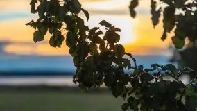 Zachód słońca w Pierkunowie, wrzesień 2021 r. - zdjęcie 15