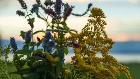 Zachód słońca w Pierkunowie, wrzesień 2021 r. - zdjęcie 26