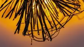 Październikowy wschód słońca, mgły i szron - zdjęcie 45