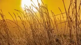 Październikowy wschód słońca, mgły i szron - zdjęcie 74