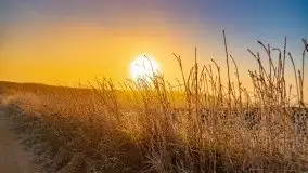 Październikowy wschód słońca, mgły i szron - zdjęcie 16