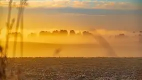 Październikowy wschód słońca, mgły i szron - zdjęcie 58