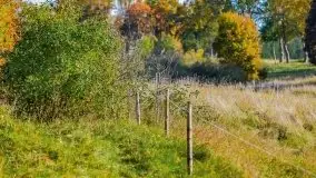 Początki mazurskiej złotej jesieni, październik 2021 r. - zdjęcie 14