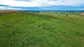 Jesienny zachód słońca z lotu ptaka - zdjęcie 11