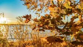 Jesienny Dargin pełen urokliwych kolorów - zdjęcie 24