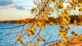 Jesienny Dargin pełen urokliwych kolorów - zdjęcie 45