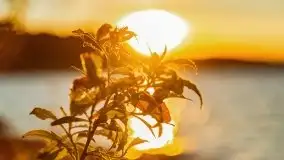 Jesienny Dargin pełen urokliwych kolorów - zdjęcie 31