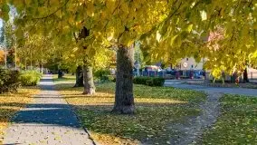 Mazurska złota jesień w Giżycku i okolicach - zdjęcie 27