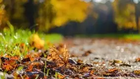 Mazurska złota jesień w Giżycku i okolicach - zdjęcie 16