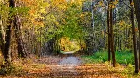 Mazurska złota jesień w Giżycku i okolicach - zdjęcie 4