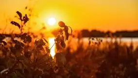 Zachód słońca nad jeziorem Kruklin, październik 2021 - zdjęcie 22