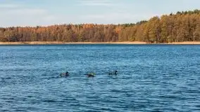 Jesienne klimaty w Pięknej Górze, jezioro Kisajno - zdjęcie 8
