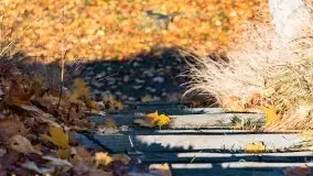 Jesienne klimaty w Pięknej Górze, jezioro Kisajno - zdjęcie 18