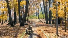 Kanał Łuczański w barwach jesieni, październik 2021 r. - zdjęcie 4