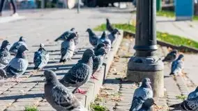 Kanał Łuczański w barwach jesieni, październik 2021 r. - zdjęcie 33