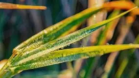 Wschód słońca nad jeziorem Kruklin, październik 2021 r. - zdjęcie 11