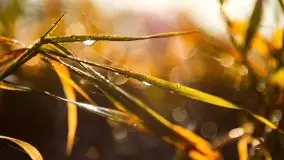 Wschód słońca nad jeziorem Kruklin, październik 2021 r. - zdjęcie 85