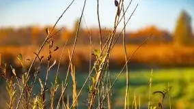 Wschód słońca nad jeziorem Kruklin, październik 2021 r. - zdjęcie 65