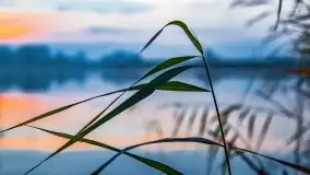 Wschód słońca nad jeziorami Niegocin i Grajewko w Bystrym - zdjęcie 55