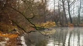 Wschód słońca nad jeziorami Niegocin i Grajewko w Bystrym - zdjęcie 13