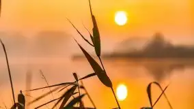 Wschód słońca nad jeziorami Niegocin i Grajewko w Bystrym - zdjęcie 14