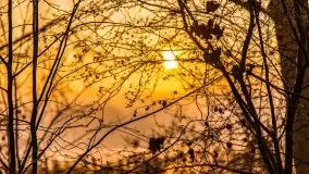 Wschód słońca nad jeziorami Niegocin i Grajewko w Bystrym - zdjęcie 47