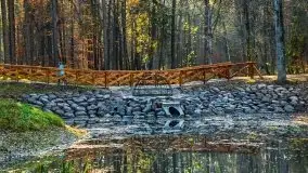 Las miejski w Giżycku pod koniec jesieni, listopad 2021 r. - zdjęcie 7